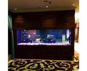觀賞魚缸